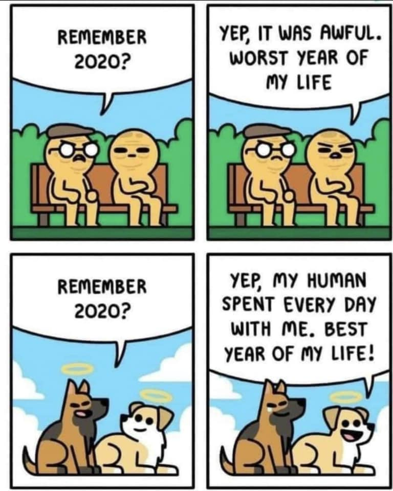 1614182759728.png