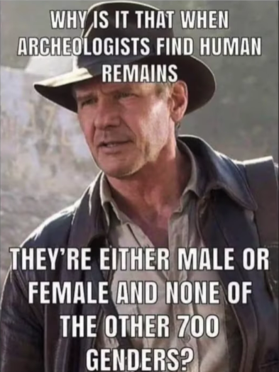 1614556309717.png