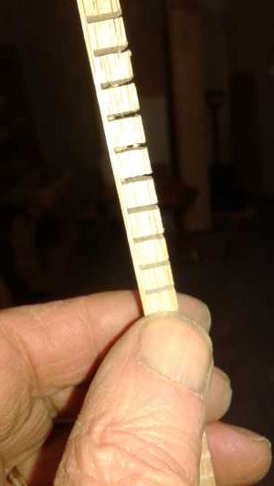 20200319_192216.jpg