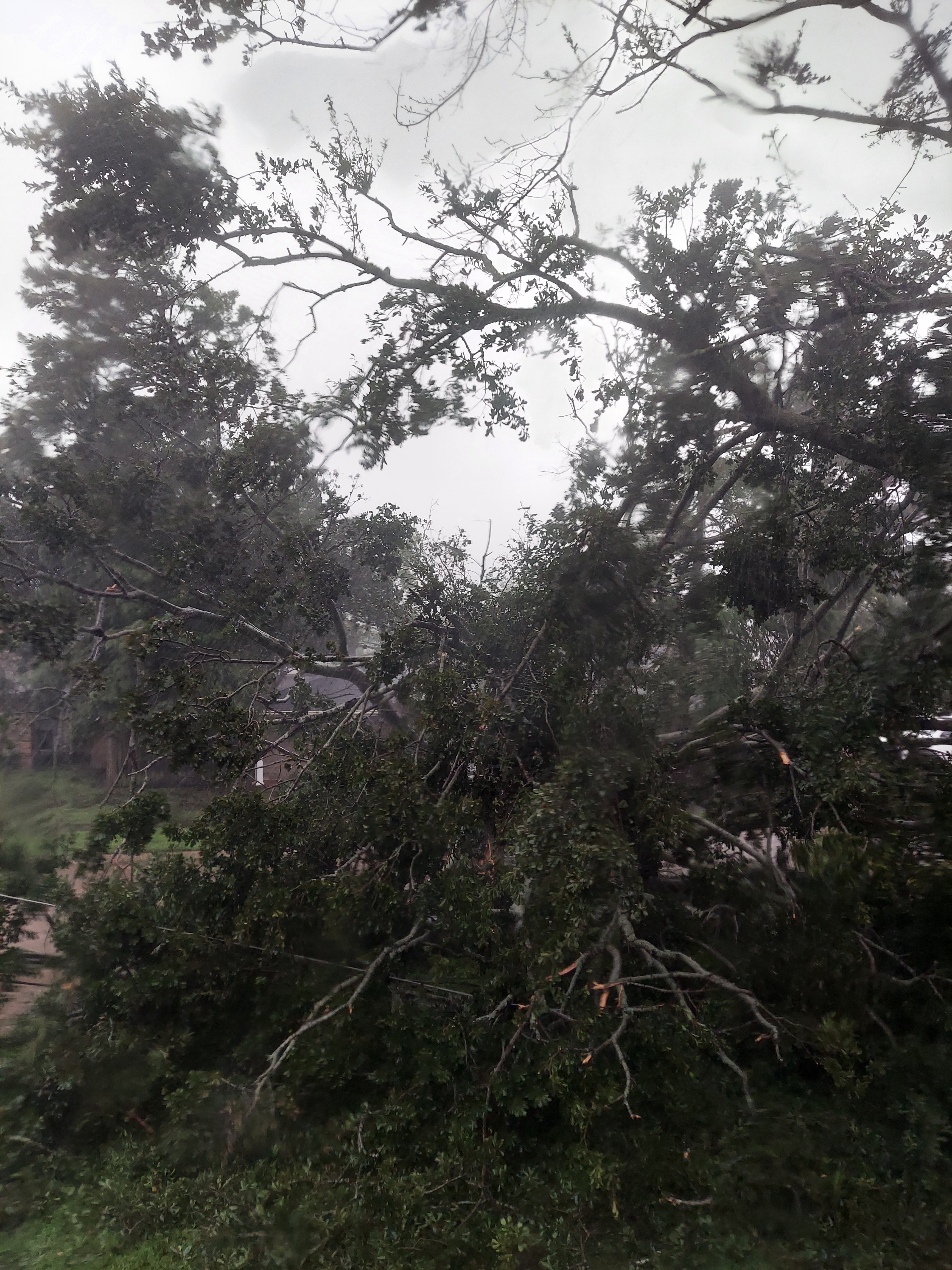20210829_173849.jpg