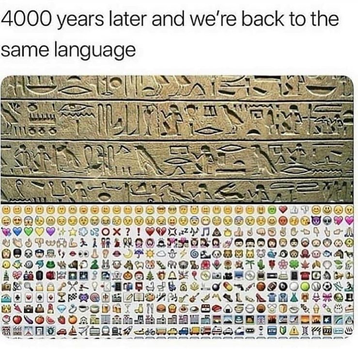 411302355_877942434069780_1898464355824374519_n.jpg