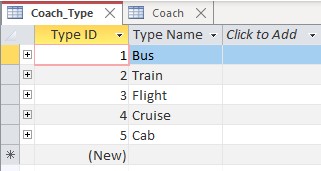 Coach_Types.jpg