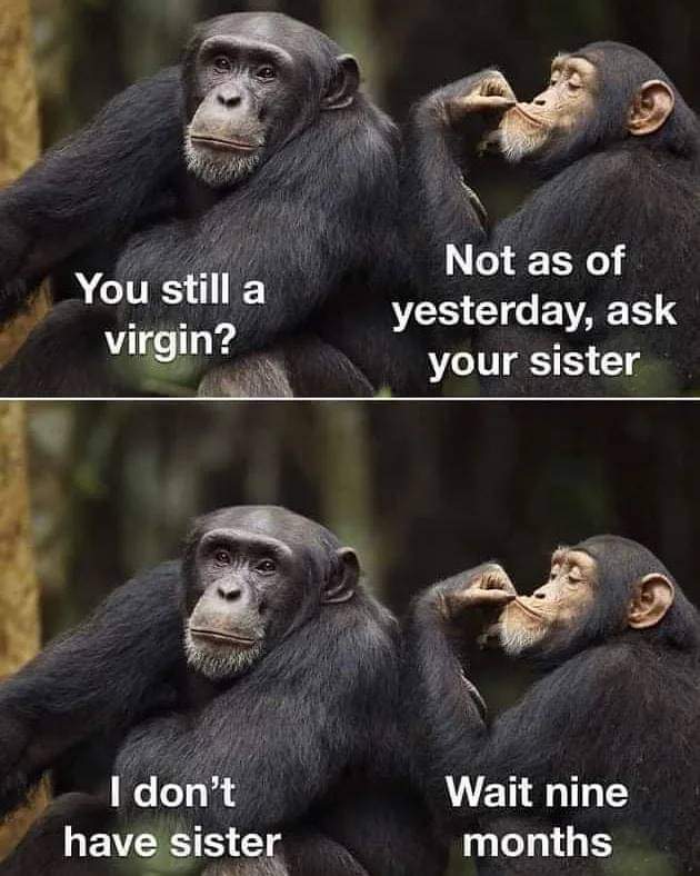 E-trSvVWYBQS5De.jpg