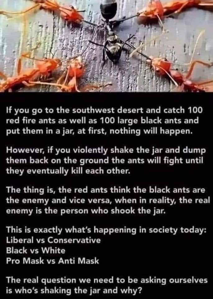 FB_IMG_1610234740077.jpg