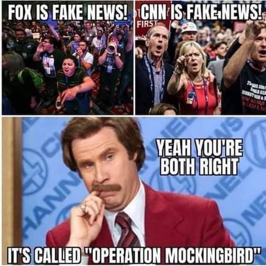 FB_IMG_1648068756530.jpg