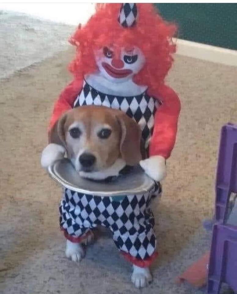 FDEQPhXXEAI4TFT.jpg