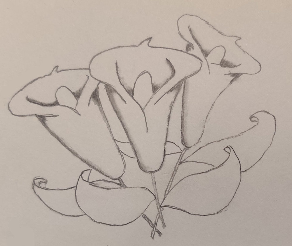 lillies v2c.jpg