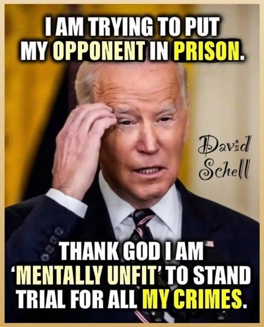 meme5_mentallyunfit.jpg