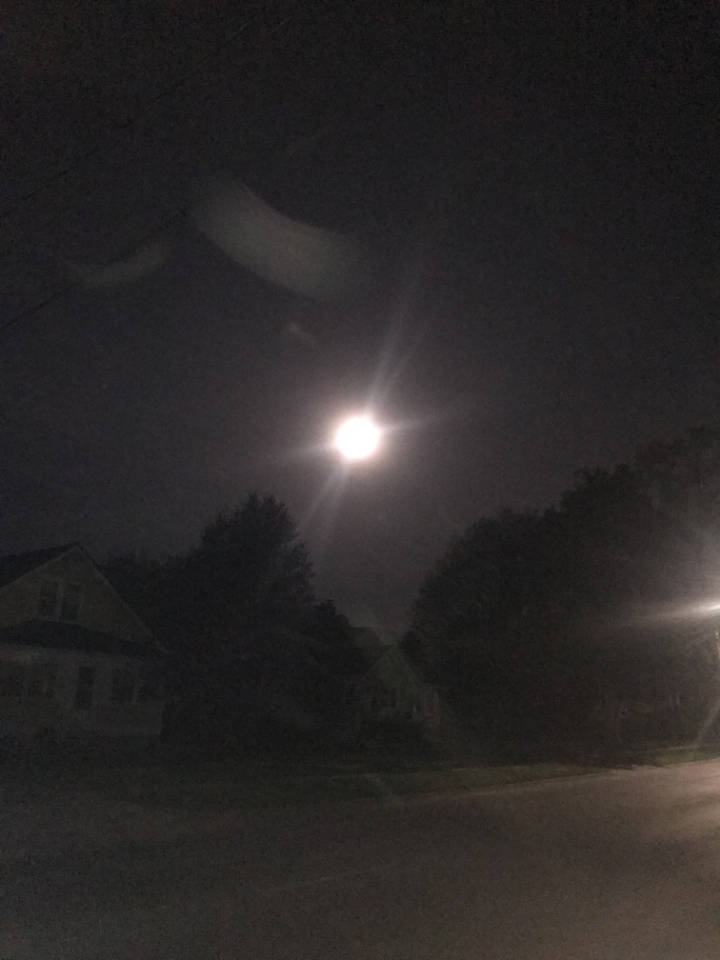 Resized_IMG-0056.jpeg