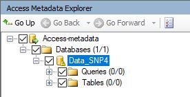 SSMA_metadata.jpg
