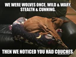 wolves.jpg